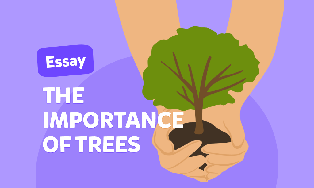 Çocuklar için İngilizce essay: ”The Importance of Trees” (Ağaçların Önemi)
