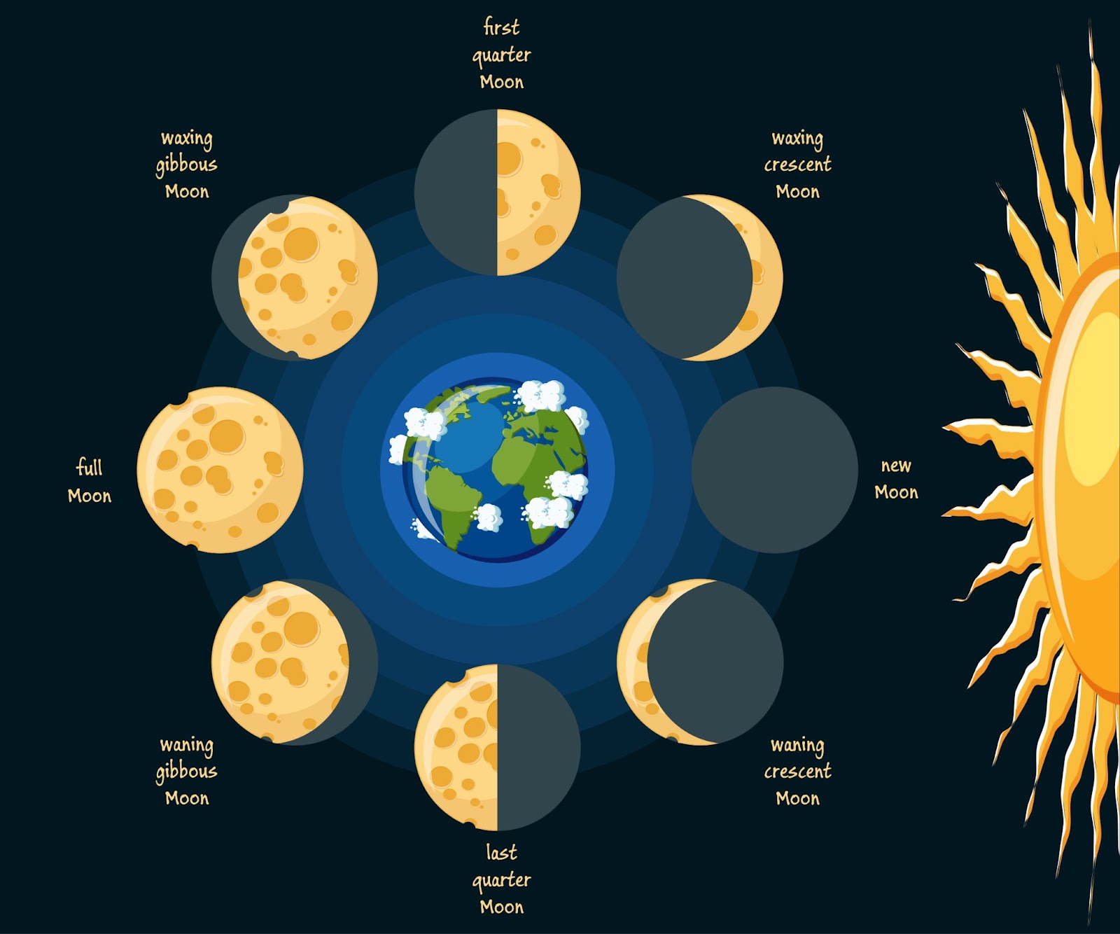Карта солнца и луны. Фазы Луны для детей. Фазы Луны картинки для детей дошкольного возраста. Фазы Луны для травника. Moon phases картинки.