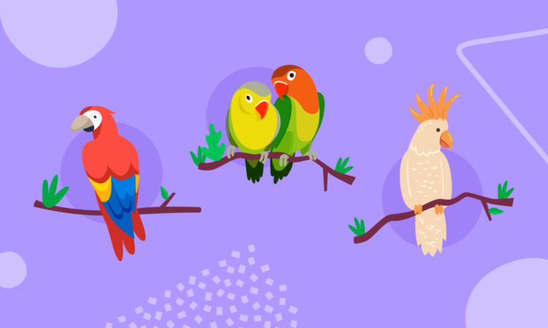 Papağan türleri hakkında her şey! Papağanların renkli dünyaları hakkında bilgiler ve test!