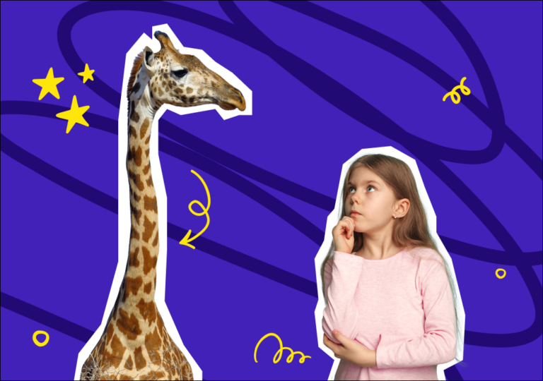 Zürafanın boyu: Doğanın en uzun harikası!